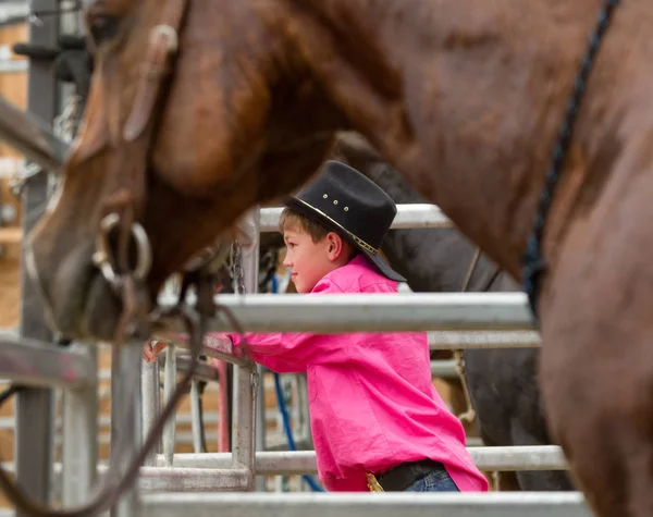Cowboy unge tittar Rodeo — Stockfoto