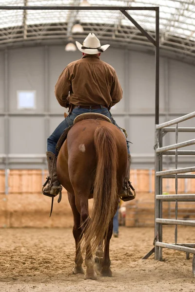 Cowboy zu Pferd bei Rodeo-Show — Stockfoto