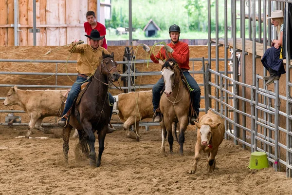 Rodeo Americano Vaqueros Caballo —  Fotos de Stock