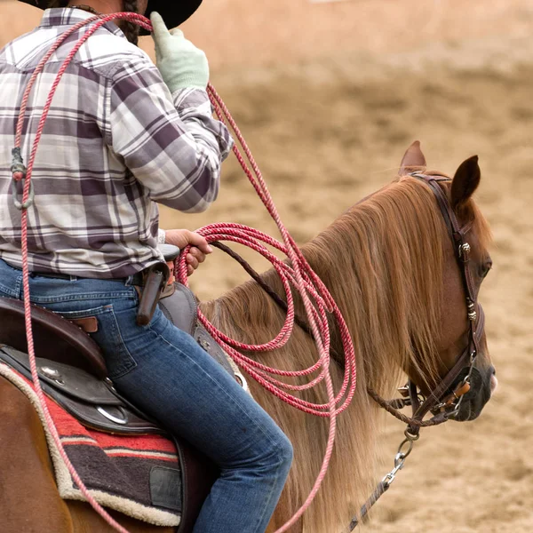 Cowgirl på häst — Stockfoto