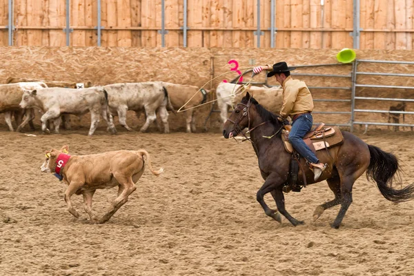 Vaquero a caballo en el espectáculo de rodeo —  Fotos de Stock