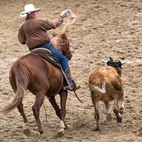 Cowboy roping a calf — Stock Photo, Image