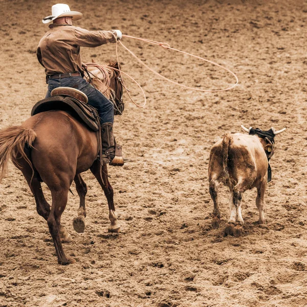 Cowboy reitet bei Reitturnier um ein Kalb — Stockfoto