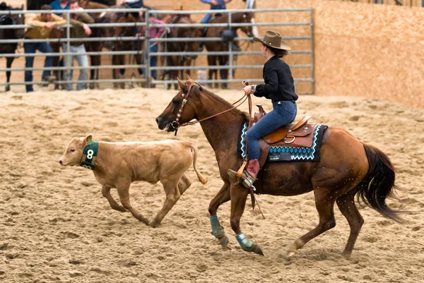 Vaquera en espectáculo de caballos —  Fotos de Stock
