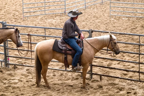 Rancher w: Rodeo — Zdjęcie stockowe