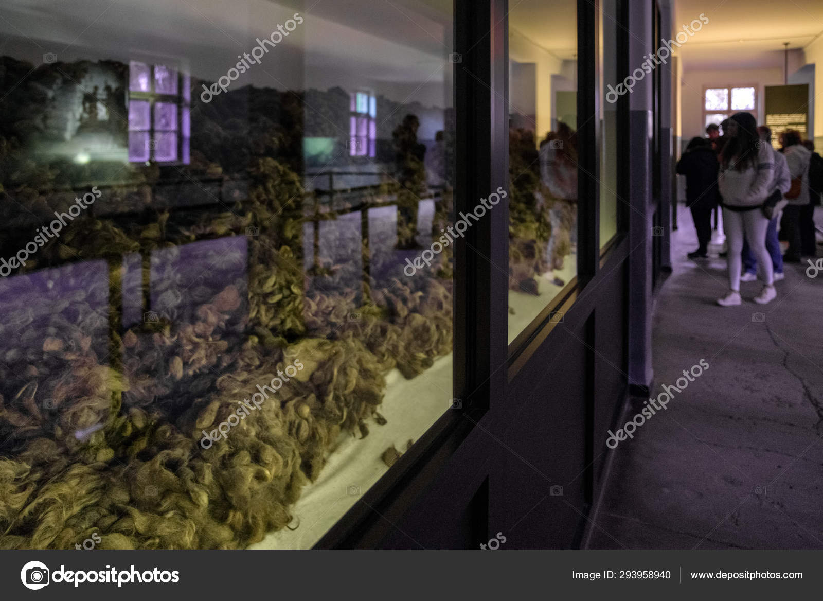 Hairs From Victims In Concentration Camp Auschwitz I Poland