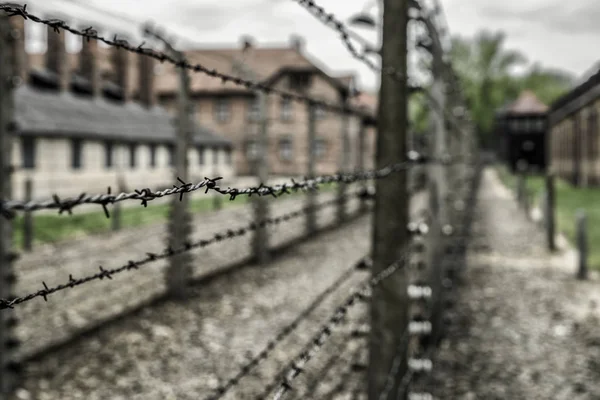 Arame farpado no campo de concentração Auschwitz, Polónia — Fotografia de Stock