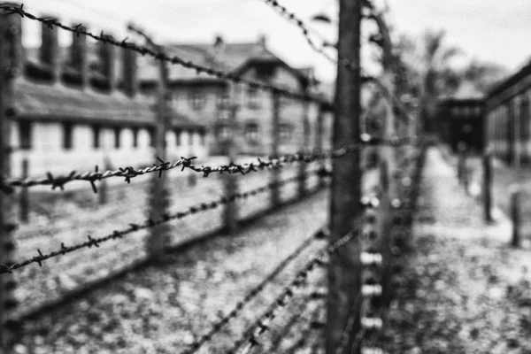 Szögesdrót a koncentrációs táborban Auschwitz, Lengyelország — Stock Fotó