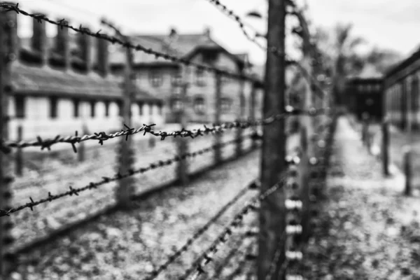 Arame farpado no campo de concentração Auschwitz, Polónia — Fotografia de Stock