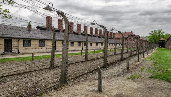 Arame farpado no campo de concentração Auschwitz I, Polónia — Fotografia de Stock