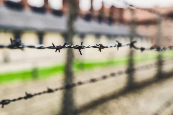 Arame farpado no campo de concentração Auschwitz, Polónia — Fotografia de Stock