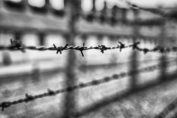 Barbed wire in concentration camp Auschwitz, Poland