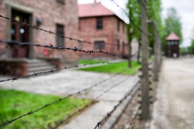 Toplama kampında dikenli tel Auschwitz, Polonya