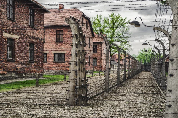 Колючая проволока в концентрационном лагере Аушвиц, Польша — стоковое фото