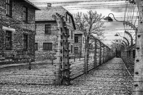 Szögesdrót a koncentrációs táborban Auschwitz, Lengyelország — Stock Fotó