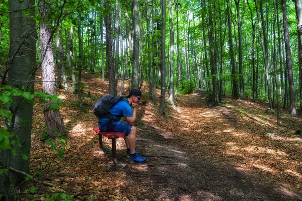 Turista sentado no banco na floresta — Fotografia de Stock