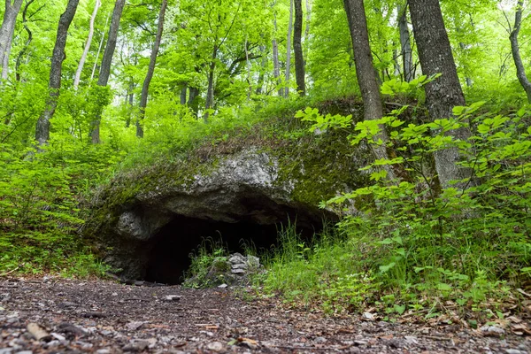 숲속의 작은 동굴 — 스톡 사진