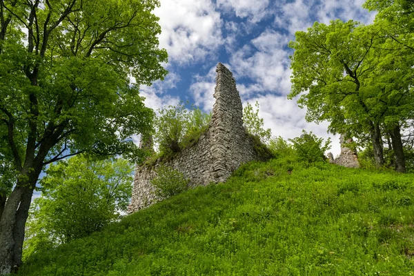 Ruinas Del Castillo Zniev Eslovaquia — Foto de Stock