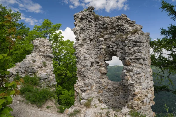 Ruinen der Burg zniev, Slowakei — Stockfoto