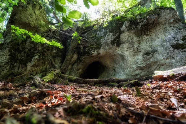 Small cave in forest — Stock Photo, Image