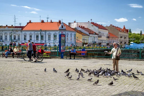 Man feeding pigeons — Stock Photo, Image