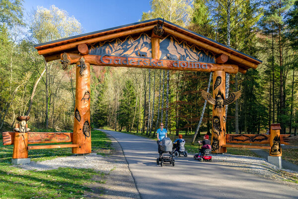 Ходячая мать с коляской на природе
