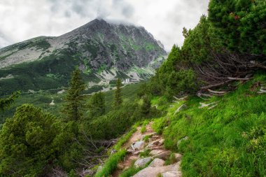 Yüksek Tatras dağlarında Gerlachovsky Stit tepesi. Sliezsky Oteli arka planda, Slovakya