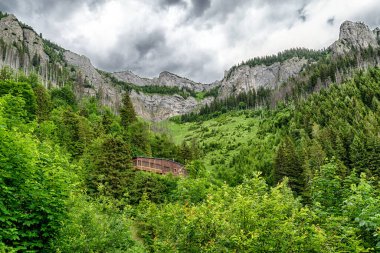 Slovakya 'nın Belianske Tatras kentindeki Plesnivec dağ evi.