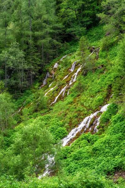 Spring Green Forest Valley Dolina Siedmich Pramenov Belianske Tatry Slovakia — Stock Photo, Image