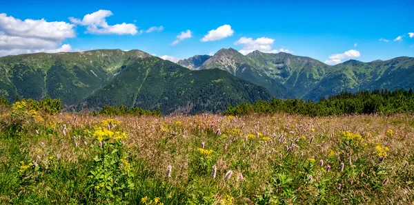 Sommar Berg Panorama Landskap Med Höga Kullar Västra Tatras Slovakien — Stockfoto
