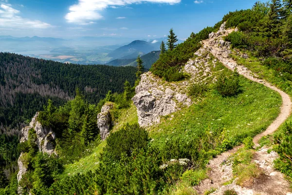 Trilha Caminhada Nas Montanhas Paisagem Verão Tatras Ocidentais Eslováquia — Fotografia de Stock