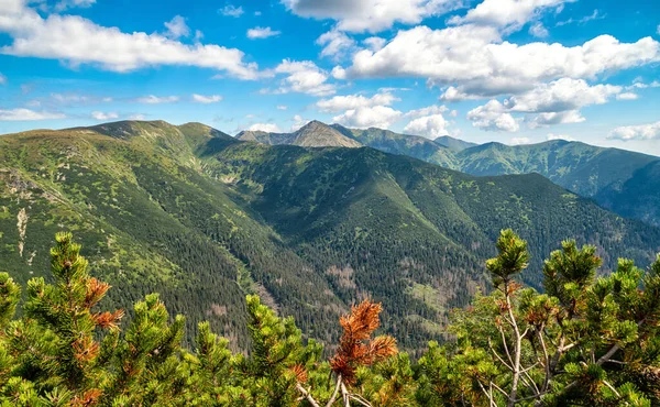 Nyári Hegygerinc Táj Nyugati Tatras Szlovákia — Stock Fotó