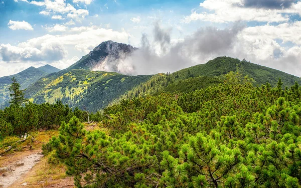 Hill Sivy Vrch Tatras Ocidental Eslováquia Verão Paisagem Montanha — Fotografia de Stock