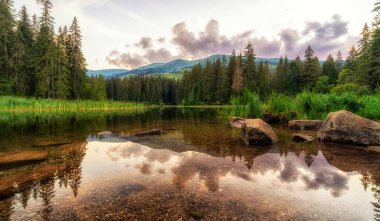 Ormandaki göldeki alacakaranlık gökyüzünün yansıması. Tarn Vrbicke pleso, Slovakya