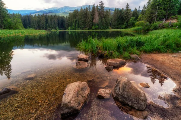 Reflektion Träd Och Färgglada Himlen Sjön Vrbicke Pleso Låga Tatrabergen — Stockfoto