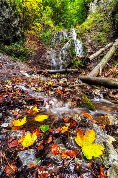 Cascade Feuilles Automne Colorées Dans Forêt Cascade Appelée Nizny Jamisny — Photo