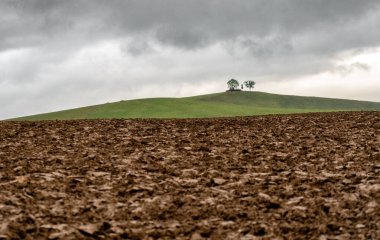 Pürüzlü tarlalar ve ufukta yalnız ağaçlar