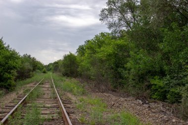 bulutlu akşam eski tren yolu ağaçlar ve gökyüzü arasında