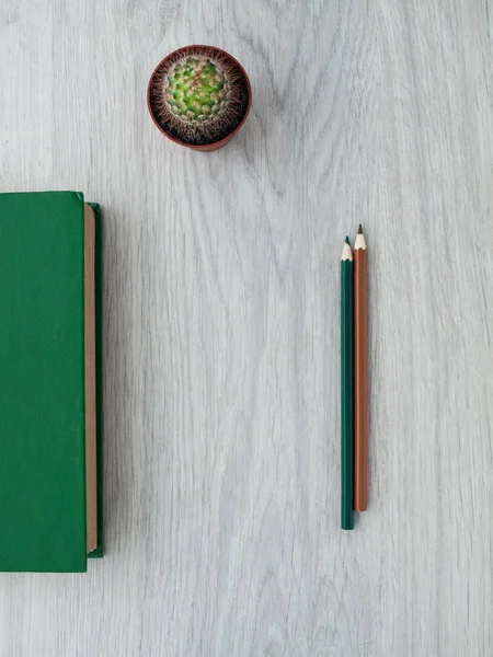 Training and development: Green book, cactus flower and green pencil on a wooden gray table. Education. Business. Top view. Copy space