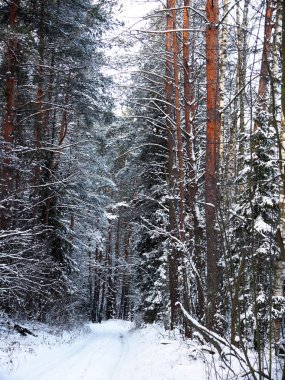kış, #winterwonderland, #wintertime, #winteriscoming, #winterbreak, #instawinter, #instagramanet, #instatag, #winters, #winter2018, #winter2019, #winterfashion, #wintersoldier, #winterishere, #winterjam, #winterpark, #wintersun, #winterfun , #cold,