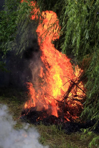 Yaz Bahçesinde Yangın Stok Resim