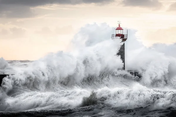 大きな波と灯台 ロイヤリティフリーのストック写真