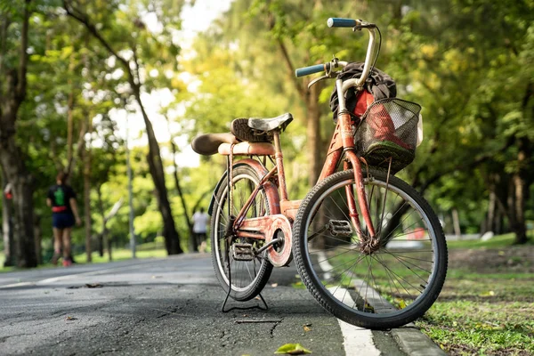 Vicino Vecchio Parco Biciclette Vintage Strada Cemento Nel Parco Verde — Foto Stock