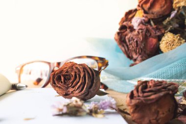 seçici odak eski paslı kahverengi güller solmuş, boş beyaz kitap, sonsuza kadar aşk, bellek kavramı lavanta çiçek kurutulmuş