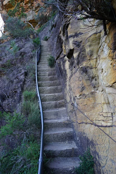 walk way rock stairs in bush walk mountain