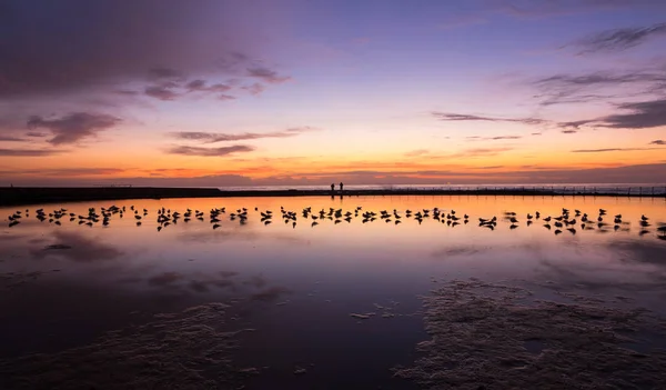 Ciel Levant Paisible Coloré Bain Océanique Newcastle Australie — Photo