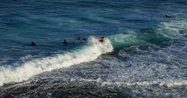 Joven Australiano Señora Surfeando Playa Tamarama Sydney Como Deporte Surf — Foto de Stock