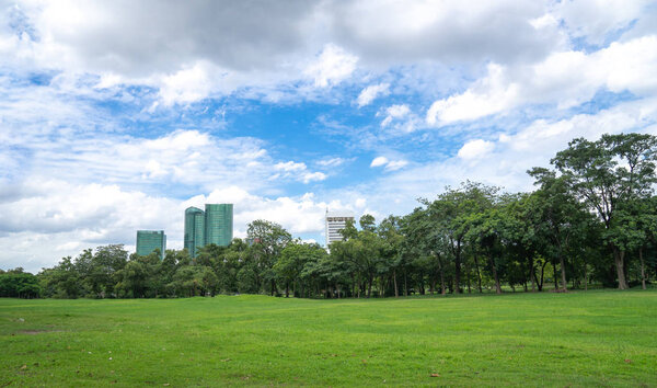 Green park in city with cloudy blue sky