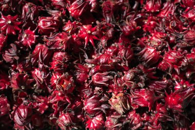 Pazar arka planda taze roselle paterni