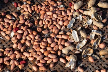 eski bambu sepet üzerinde ham soyulmuş fıstık 